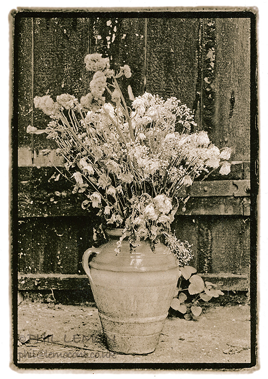 Lith printing, Phil Lemon