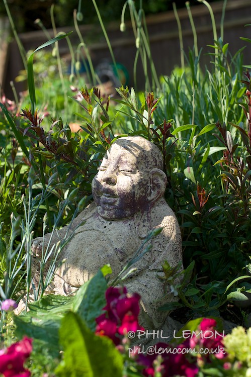 Overgrown buddha, Phil Lemon