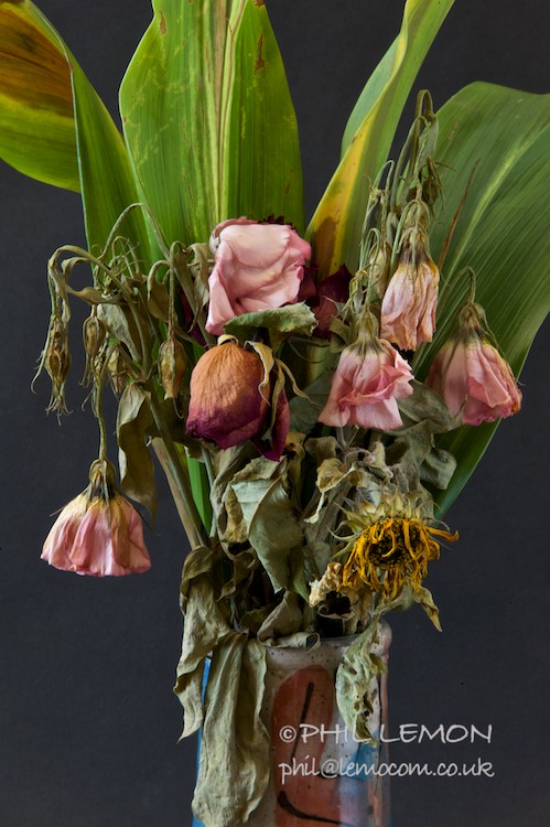 Dying flowers in a blue vase, Phil Lemon