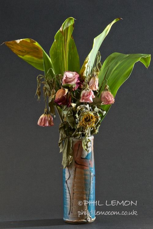 Dying flowers in a blue vase, Phil Lemon