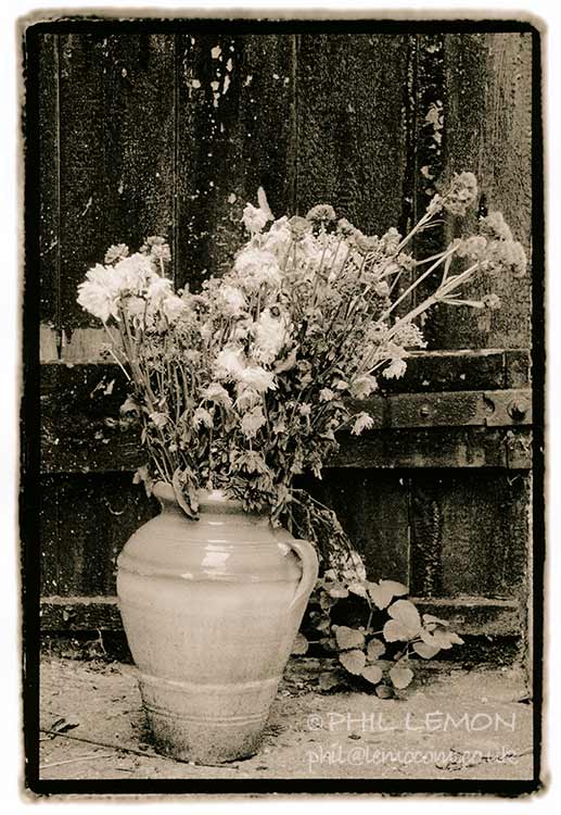 Assorted old flowers in an urn, lith print, Phil Lemon
