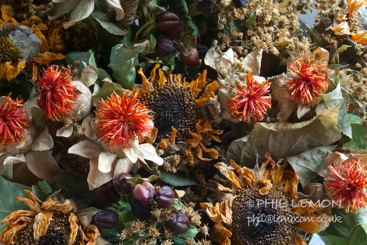 Dying fbunch of flowers, Phil Lemon