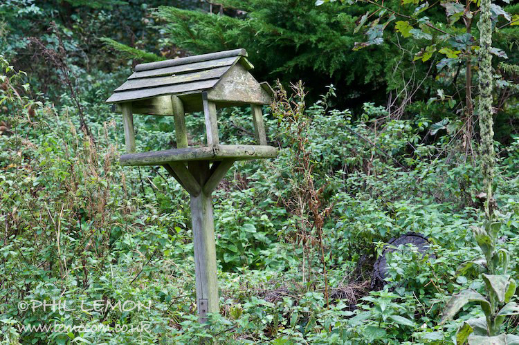 Old birdhouse, Suffolk, Phil Lemon