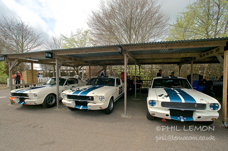Three Mustangs, Goodwood paddock, Phil Lemon