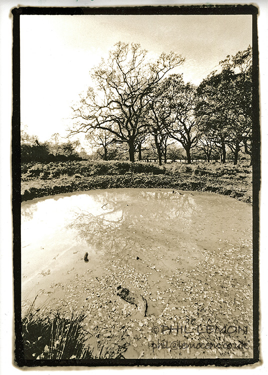 Lith printing, Phil Lemon